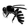 Profilbild von abeille noire