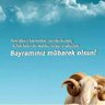 Фото профиля mehmet