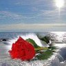 بنت الكويت ♥️'s profile picture