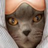 Фото профиля independecat 😼