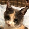 Фото профиля chiko