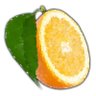 SustainableOrange's profile picture