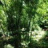 Фото профиля kaka