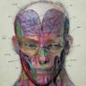 Mediolanum profil fotoğrafı