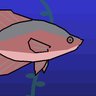 Crappie Coding 的头像