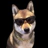 Profilbild von boredjesse