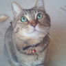 みぃにゃんこ's profile picture