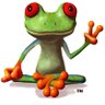 Papi Frogi profil fotoğrafı