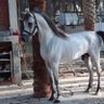 Фото профиля منيف البقمي