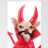 Gio Glez's profile picture