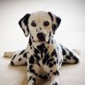 Jack,m,Aman profil fotoğrafı