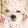 けん's profile picture