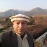 Profilbild von Umar Iqbal Bhatti