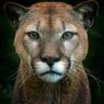 Profilbild von mohamed Farag