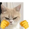 Profilbild von Carl