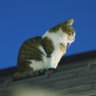 勇者だいすけーる 📷 profil fotoğrafı