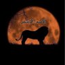الاسد الاسمر 的头像