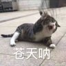 Фото профиля 密室逃脱