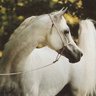 Фото профиля fatma lotfy