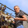 Jan Ver Elst's profile picture