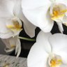 Фото профиля hakkıerdem999