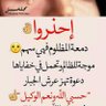 hana elmasry's profile picture