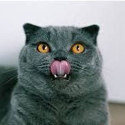 รักเพื่อน's profile picture