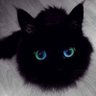 霸天虎bb's profile picture