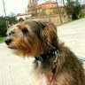 Juanjo's profile picture