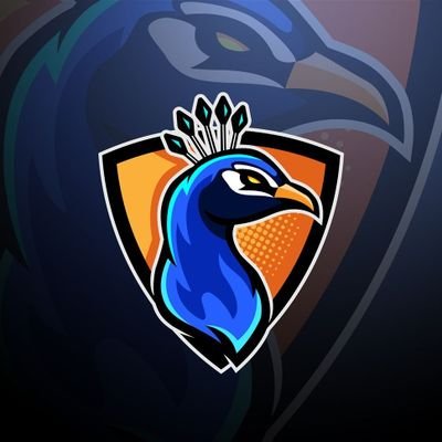 kongqueking's profile picture