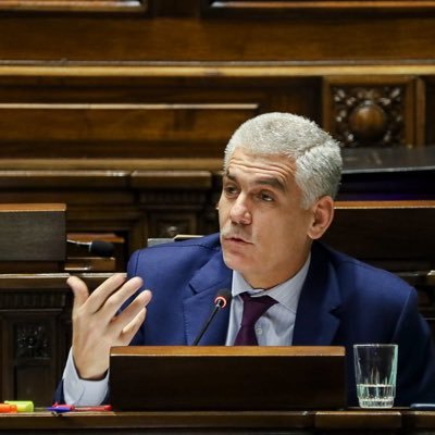 DipRodrigoGoni's profile picture