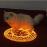 Moon's profile picture