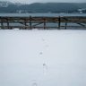 F. profil fotoğrafı