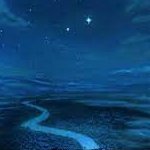Gata_libre's profile picture