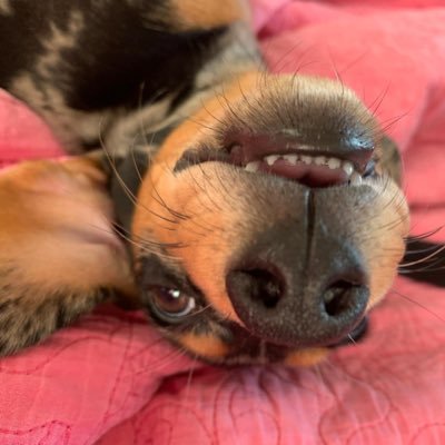 mindundi33's profile picture