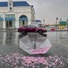 لينا الثقفي🦋 的头像