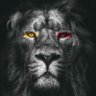Profilbild von delibiraslan