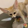 Its Killjoy Baby profil fotoğrafı