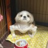 なぱなぱなっぱ profil fotoğrafı