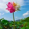 Фото профиля 路漫漫
