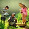 🇮🇩 Rakyat Indonesia 🇵🇸 profil fotoğrafı