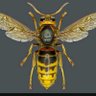 Gray_Drone profil fotoğrafı