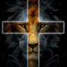 mark johnson ✝️ God Family Country ✝️ profil fotoğrafı