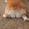 Фото профиля 元気のげん
