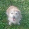 GD64 profil fotoğrafı