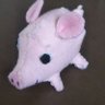 honono's profile picture