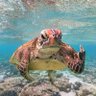 Matt 🦕's profile picture