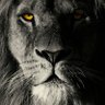 محمد گل بادشاہ بٹ's profile picture