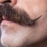 Profilbild von Gustavo