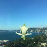 Celebi's profile picture